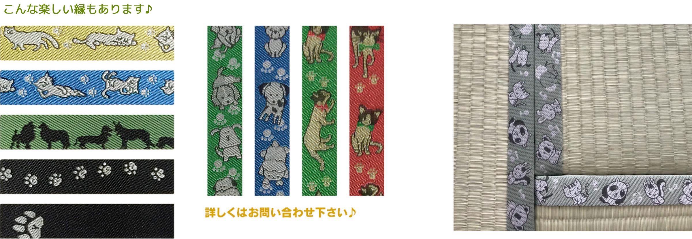 大宮縁キッド Cats and Dogs